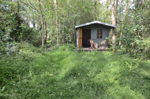 Cabin In The Woods- click for photo gallery